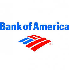 image-795063-bofa_website.jpg